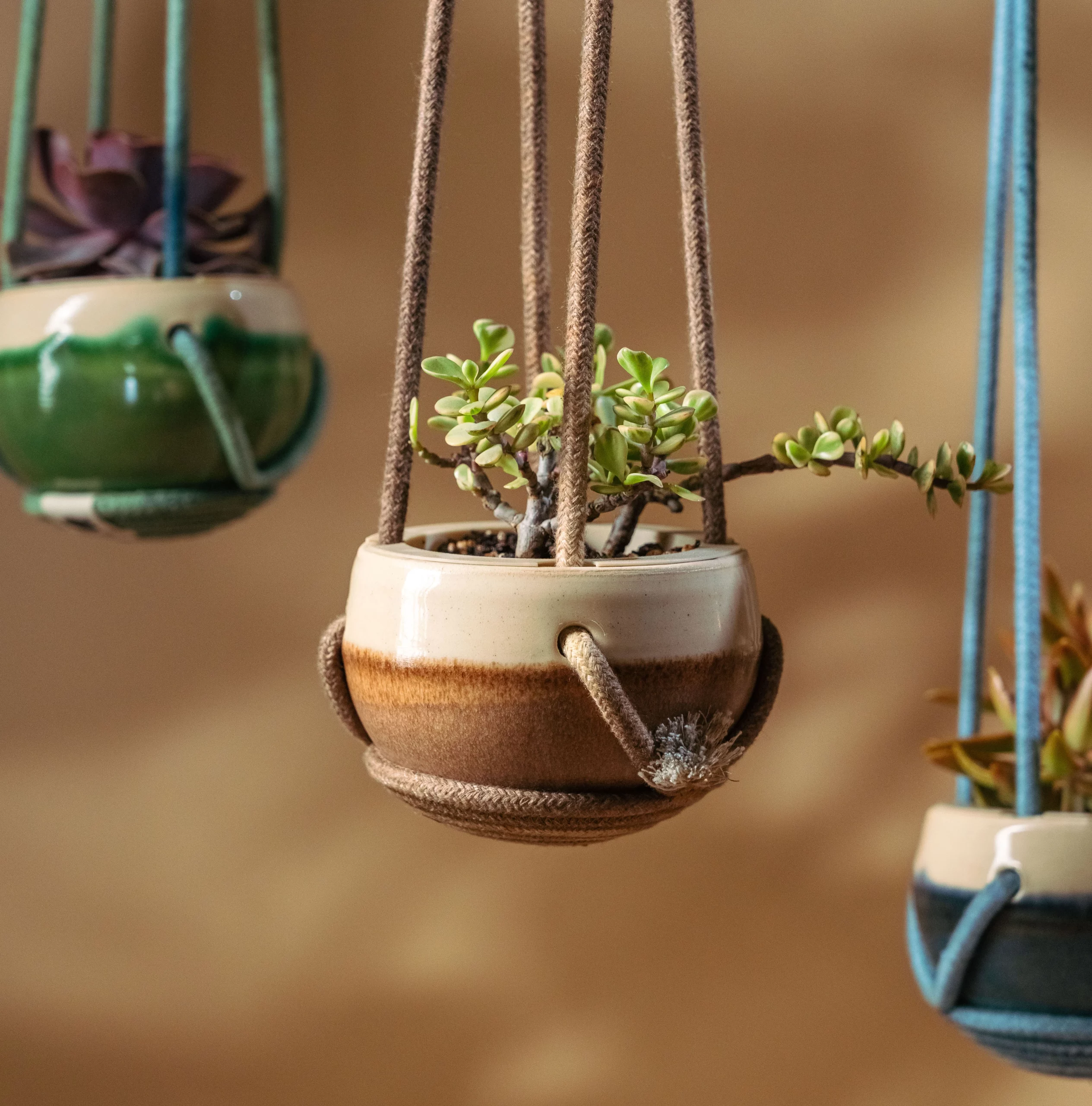 Droplet, succulent ceramic pot.